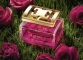 ESPECIALLY ESCADA Elixir в ТЦ "ПАНОРАМА"